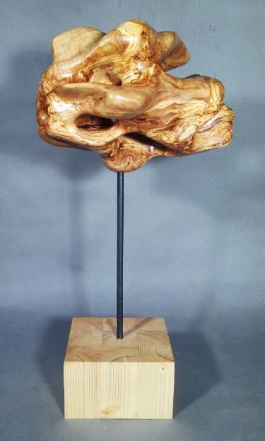 VERTEBRA CEREBRAL