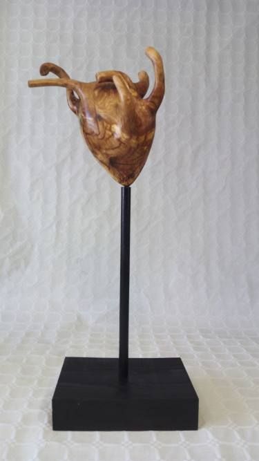 CORAZÓN DE OLIVO