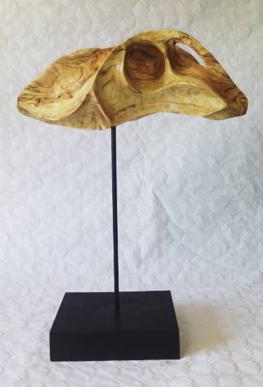 JIBIA DE ÁRBOL