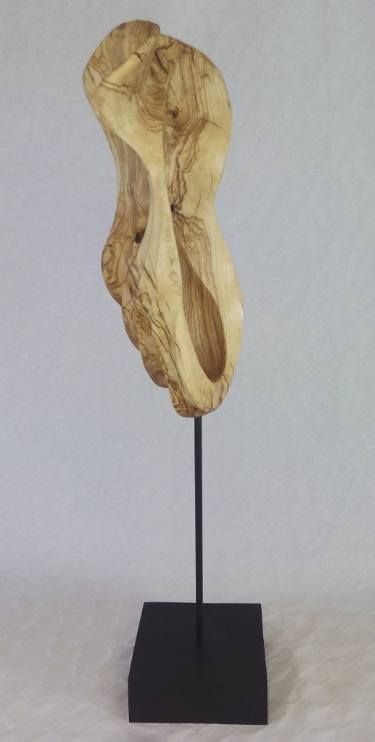 CARACOLA DEL BOSQUE