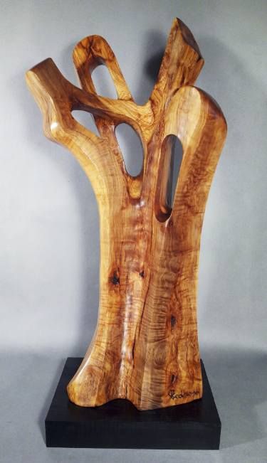 ÁRBOL SIMBÓLICO