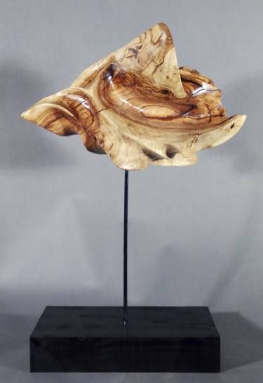 CARACOLA DEL BOSQUE NUM. 2
